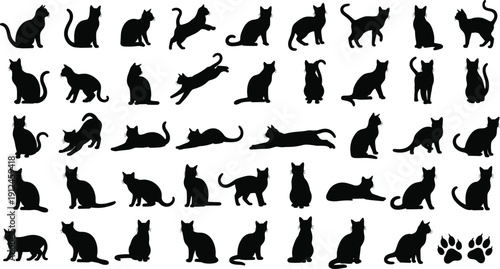 Forty cat silhouettes in various poses vector illustration, feline posture design with paw prints for pets, wildlife, art, decorative icon