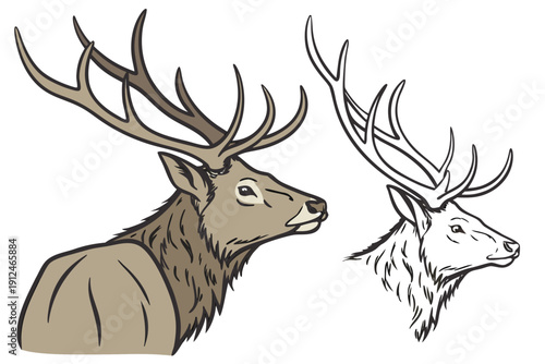 deer head vector