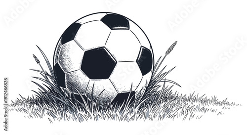 A detailed soccer ball rests in tall blades of grass.