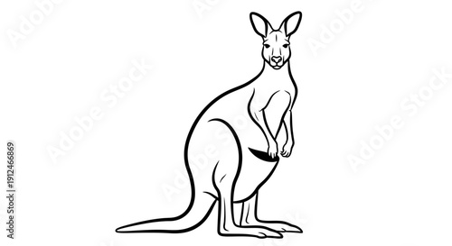 Line art illustration of a kangaroo on a white background.