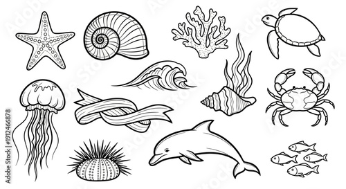 Collection of hand-drawn sea creatures and elements in black and white.