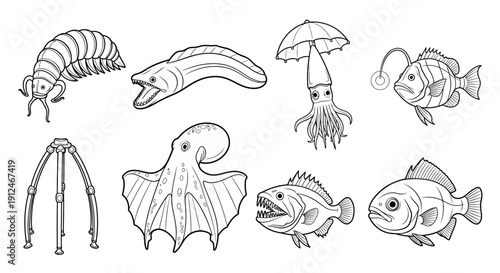 Collection of diverse ocean creatures in outline style.