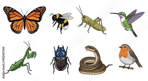 Collection of diverse insects and animals isolated on a white background.
