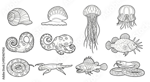 Collection of hand-drawn marine animals