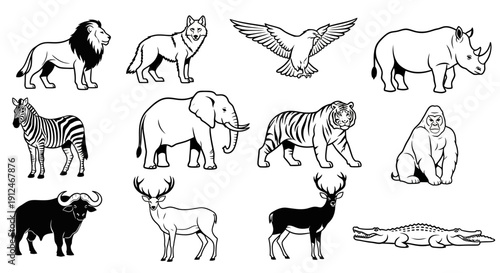 Collection of diverse wild animals in black and white.