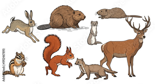 Collection of various wild forest animals in a cartoon style.