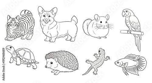 Set of cute pet animals outline illustrations on white background.