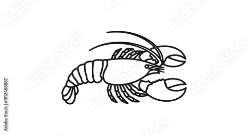 Lobster illustration simple line drawing isolated on white background.