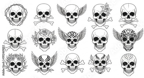 Collection of Skull Illustrations with Wings and Floral Accents.