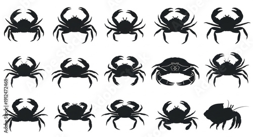 Collection of Crab Silhouettes on White Background.