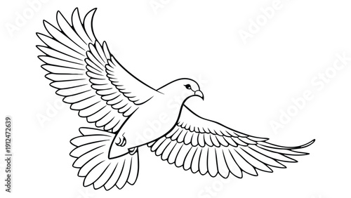 Black and white line of a dove in mid flight with outstretched wings bird flying