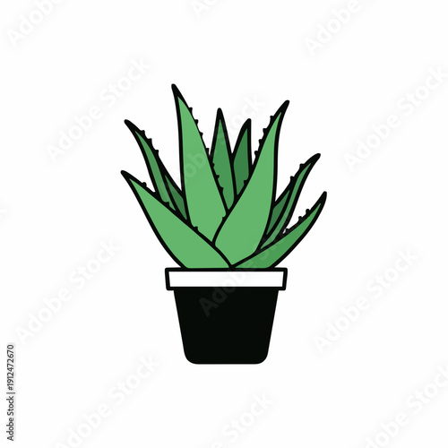 Green Aloe Vera Plant in a Black Pot Isolated on a White Background Minimalist Vector Illustration