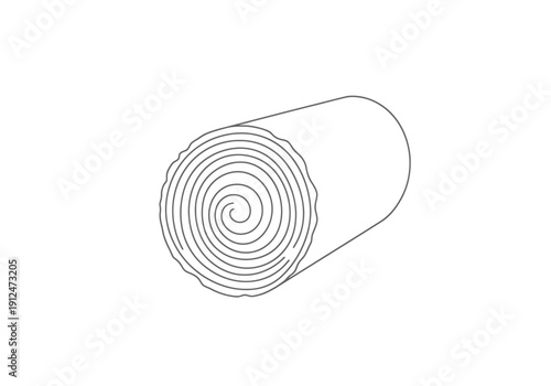 Rolled Log Cross Section Abstract Spiral Pattern Detailed Surface Texture Linear Design Geometric Form Natural Material Abstract Segment
