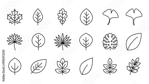 Collection of various leaf illustrations.