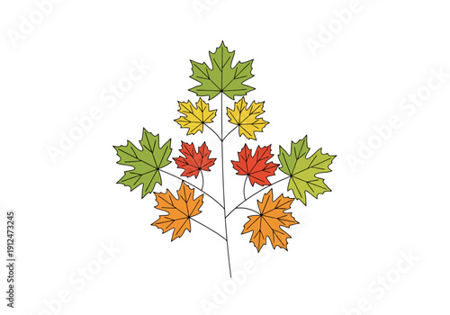 Stylized autumnal leaf structure in gradient colors showing seasonal change and natural growth patterns on a white background