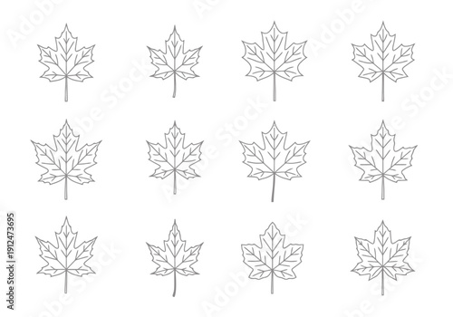 Collection of Twelve Stylized Maple Leaf Outline Icon Set For Autumnal Representation and Canadian Themes Simple Botanical Element Design