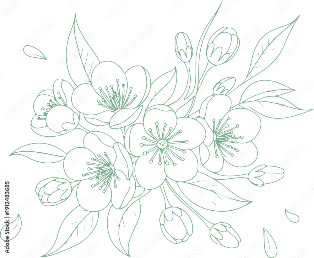 Fototapeta premium Cherry Flower Vector Design