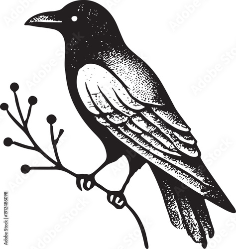 A detailed illustration of a black crow perched on a bare tree branch