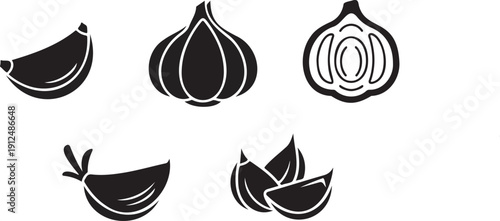 Fresh Garlic Bulbs Cloves Illustration & vector design