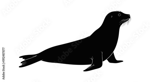 Silhouette of a seal on a white background.