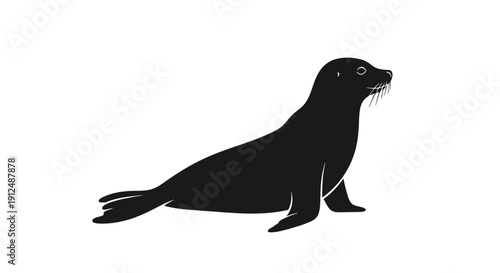 Silhouette of a Seal on a White Background.