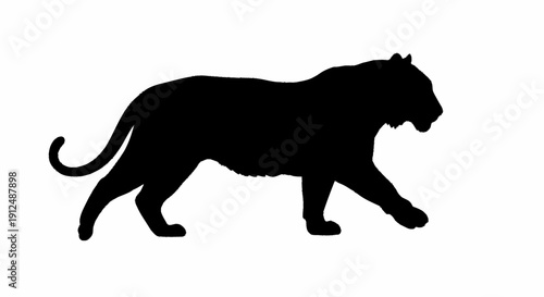 Silhouette of a walking tiger against a white background.