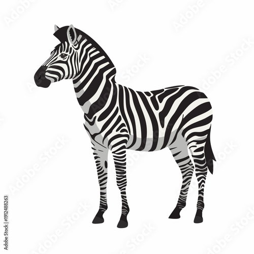 Detailed Striped Illustration Zebra Standing Wild Animal Isolated Graphic