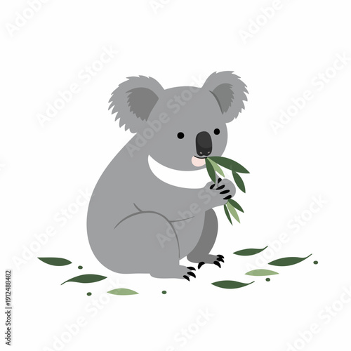 Flat Simple Cute Koala Eating Eucalyptus Leaves Australian Animal Illustration
