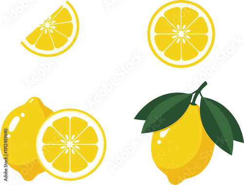 Lemon fruit collection citrus slices whole vector illustration set isolated background