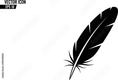 Black Feather Illustration Vector Graphic Design.