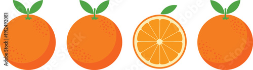 Orange fruit vector set with whole oranges and sliced citrus illustration for food design and packaging
