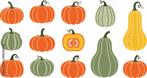 Pumpkin and squash vegetable vector set with various shapes and colors for autumn harvest design