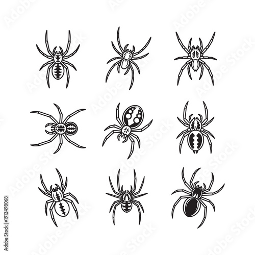 A collection of detailed spider illustrations in black and white, perfect for educational materials, graphic design projects, or creepy-crawly enthusiasts