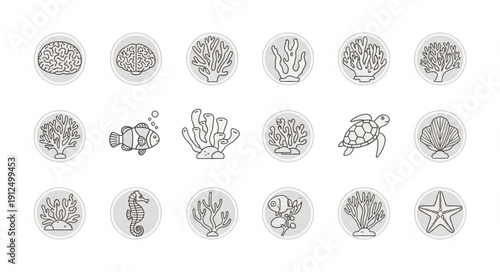 Collection of hand-drawn coral reef illustrations in circles.
