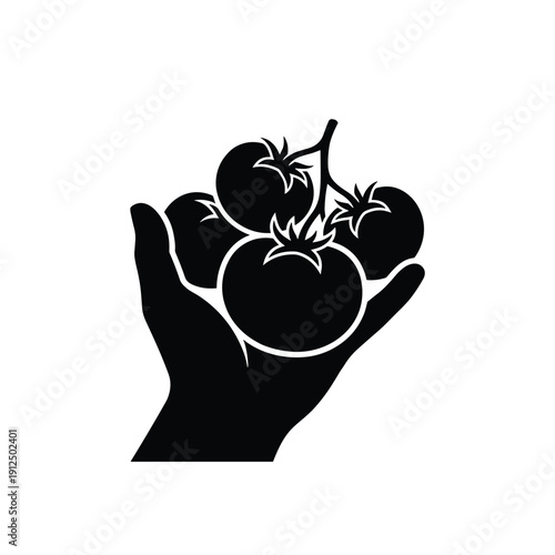 Hand holding tomatoes icon vector illustration in flat style with transparent background