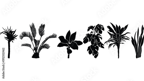 Collection of silhouette tropical plants and exotic flowers on transparent background