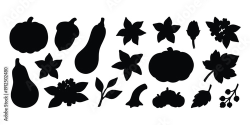 Autumn harvest silhouettes of pumpkins, gourds, flowers, and leaves on transparent background