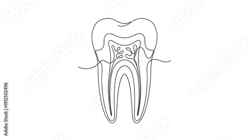 Human tooth anatomy structure drawn with single continuous line style for dental services