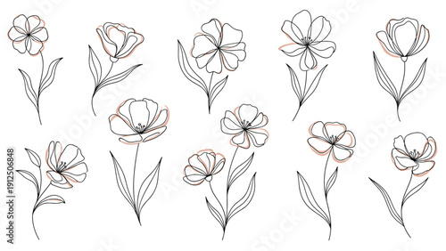 Collection of elegant and simple flower sketches in black line art with soft peach colored accents for a botanical feel.