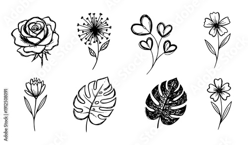 Title
Artistic black ink floral doodle sketches vector collection with flowers and leaves