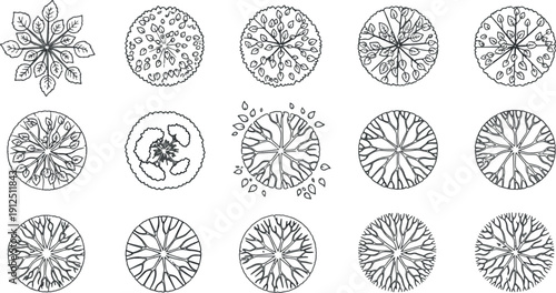 Vector Set of Abstract Top View Garden Symbols, Minimalist Landscape Design Plan Icons and Creative Botanical Tree Outlines for Architectural Site Mapping