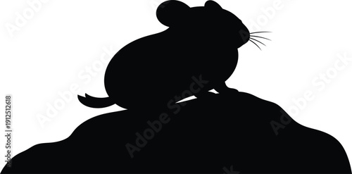 Silhouette of a cat on a rock formation