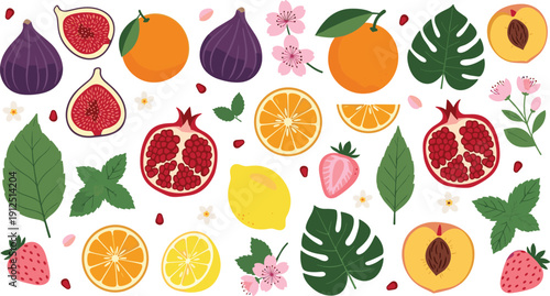 Colorful fruit elements collection figs oranges pomegranate leaves vector illustration set isolated background