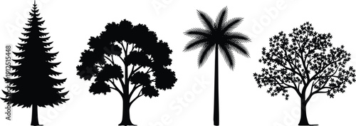 Set of Tree Silhouettes Including Evergreen Pine Oak Palm and Deciduous Garden Trees Isolated on White Background for Nature Landscape Design