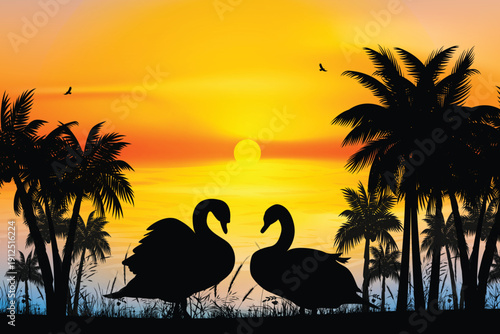 sunset with palm trees and birds