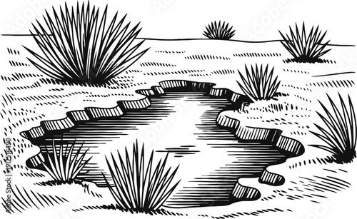 Desert oasis pond with desert plants and shrubs in a dry landscape illustration
