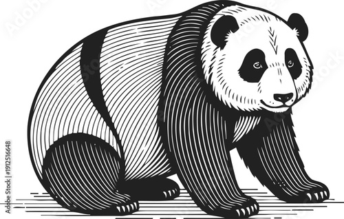 Detailed black and white illustration of a giant panda bear sitting and looking forward with textured fur lines