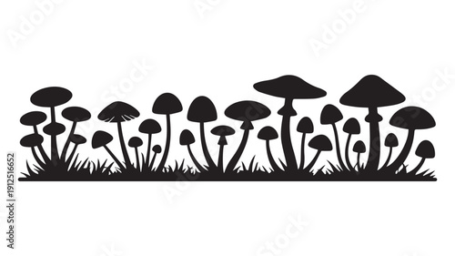 Diverse Collection of Silhouette Mushrooms Growing in a Grassy Field