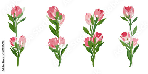 A collection of vibrant pink and white tulips with green stems