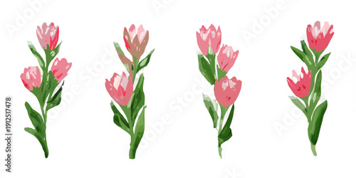 A digital illustration of pink and white tulips against a black background